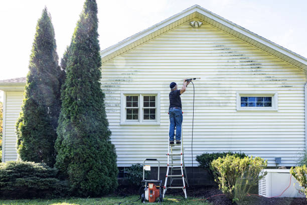 Roof Power Washing Services in Berwyn, IL