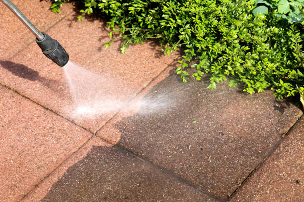 Deck Cleaning Services in Berwyn, IL